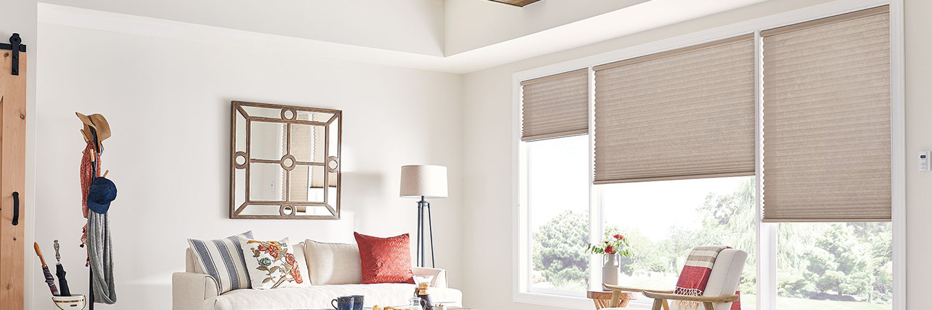 Tan window shades on living room windows