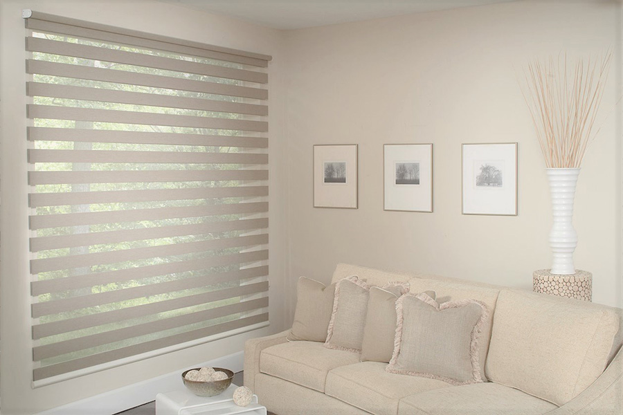 eige transitional shades on a living room window